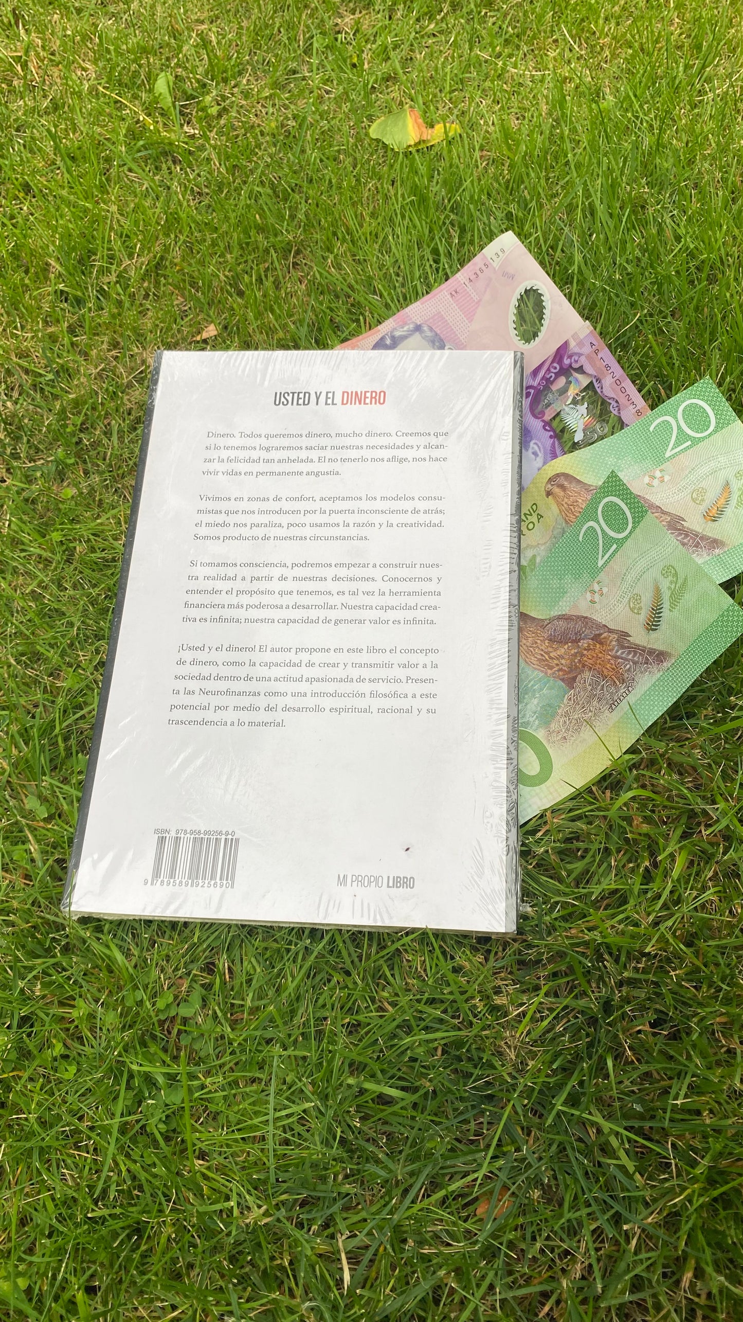 ¡Usted y el dinero!
