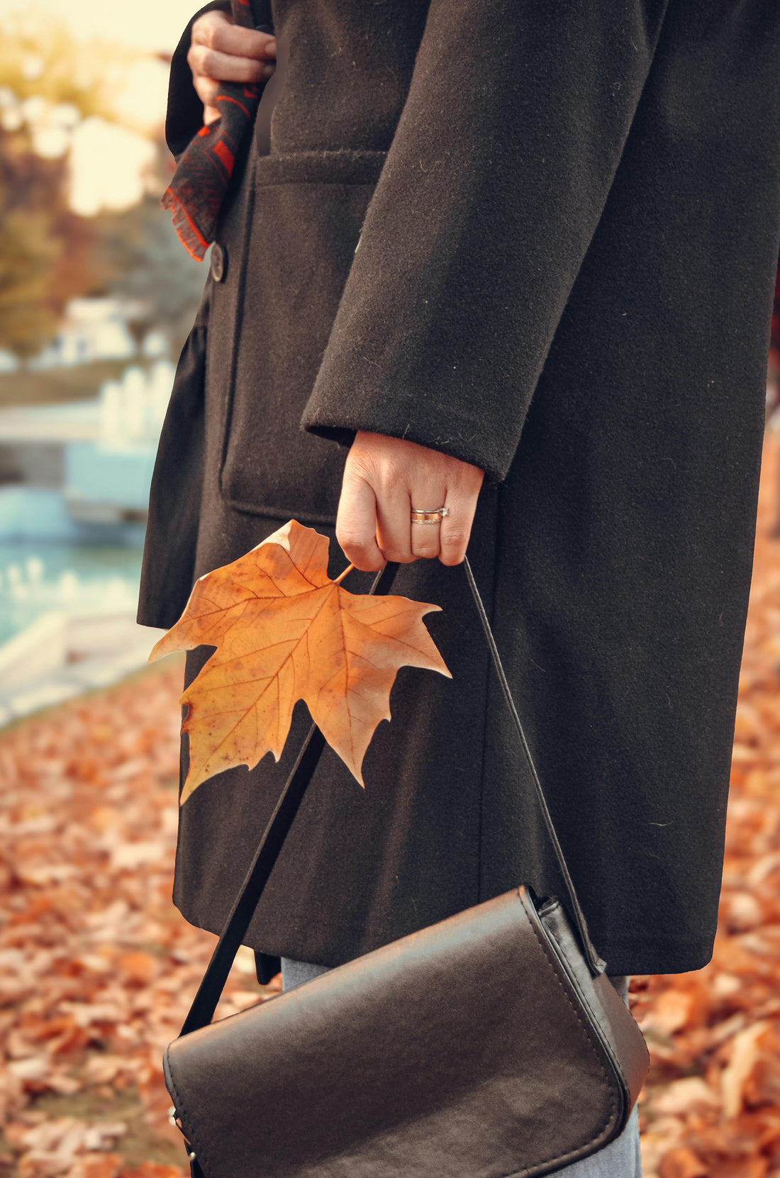 ¡Bienvenido Otoño! La Magia de la Estación para los Migrantes Tropicales: Un Encuentro con Nuevas Sensaciones y Tradiciones